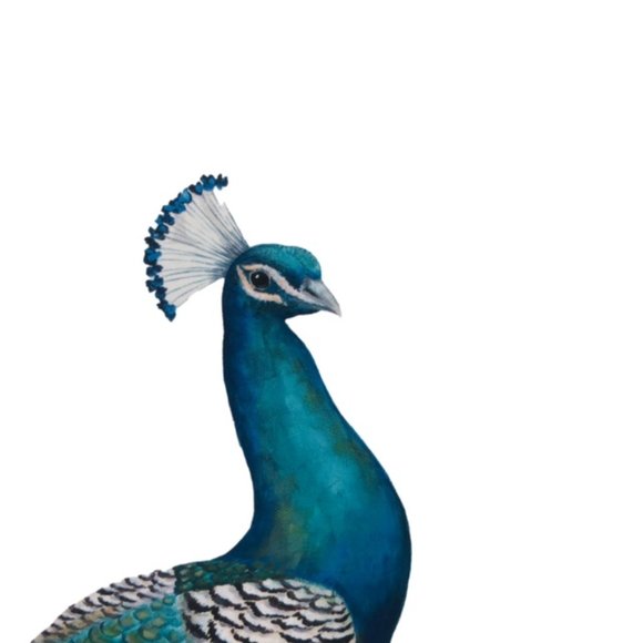 Peacock Themed Round Carry Case - Home Storage - Handle - Lined Interior - Picture 2 of 10